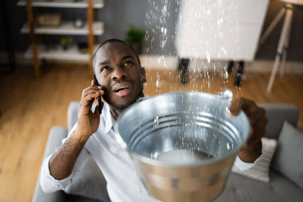 Best Water damage cleanup near me  in Blackwood, NJ