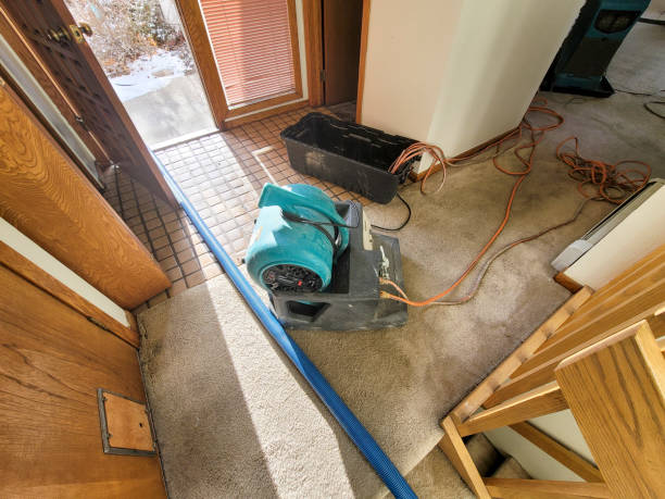 Best Carpet water damage restoration  in Blackwood, NJ