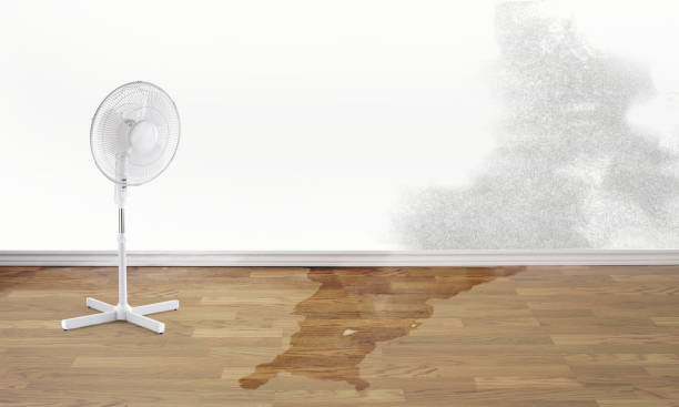 Best Sewage cleanup and water damage restoration  in Blackwood, NJ