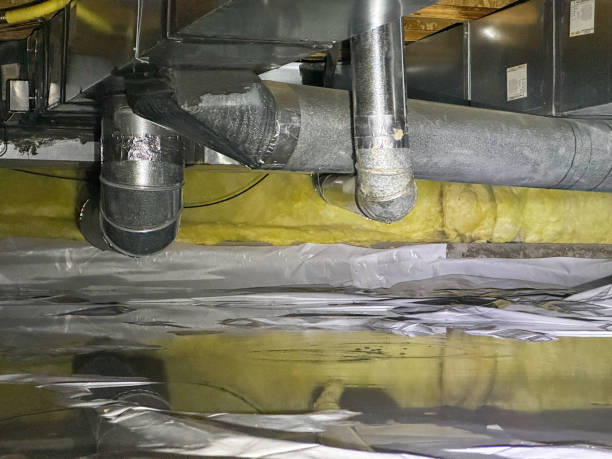Best Local water damage restoration  in Blackwood, NJ