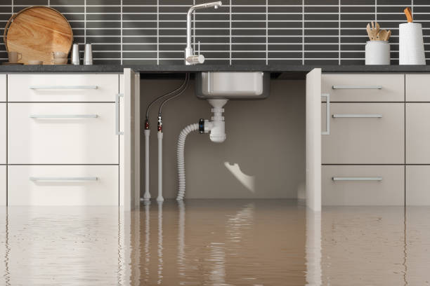 Best Water damage restoration near me  in Blackwood, NJ